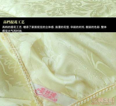 【蠶絲被100%桑蠶絲夏涼被貢緞提花加厚冬被春秋被子母被芯廠家直銷】崇川區(qū)麥倫家用紡織品廠 - 產(chǎn)品庫